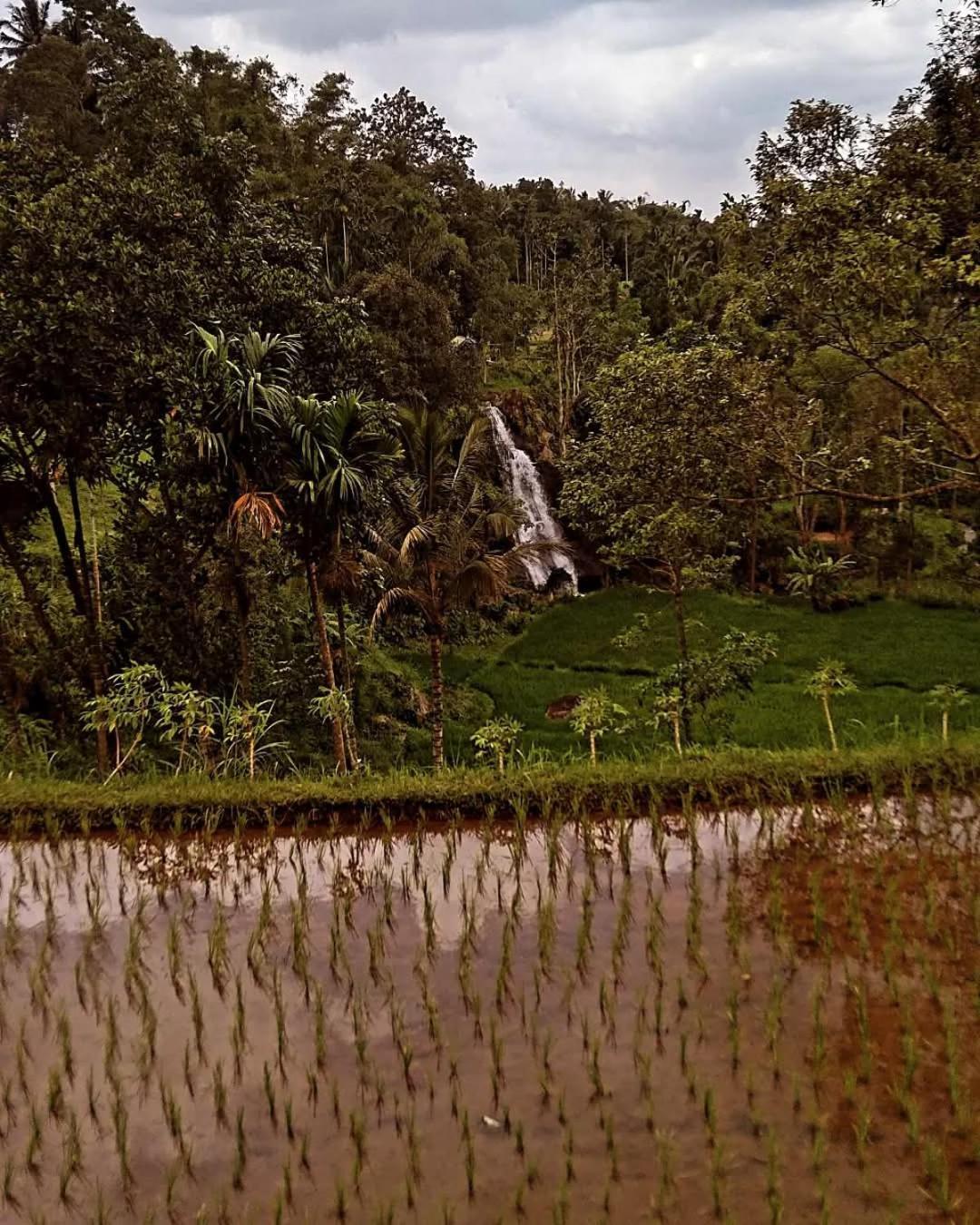 Satu Lingkung Tetebatu Exterior foto