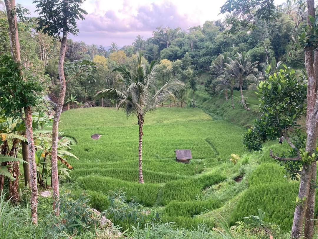 Satu Lingkung Tetebatu Exterior foto