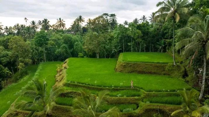 Satu Lingkung Tetebatu Exterior foto
