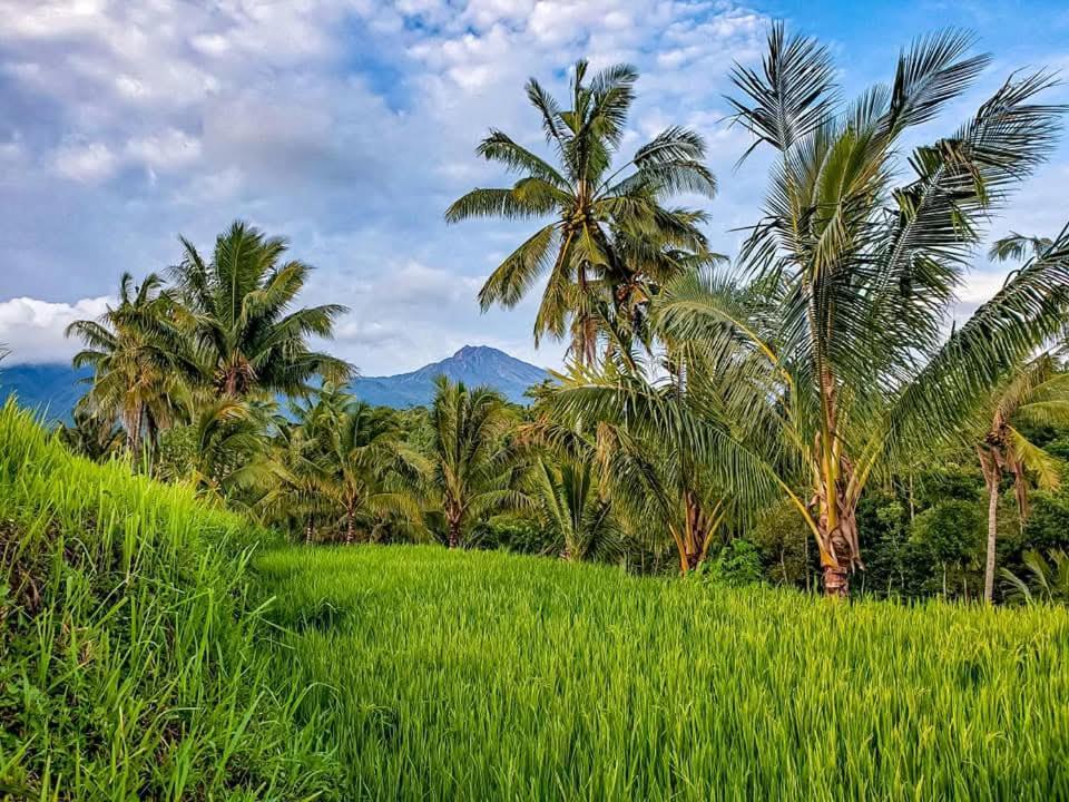 Satu Lingkung Tetebatu Exterior foto