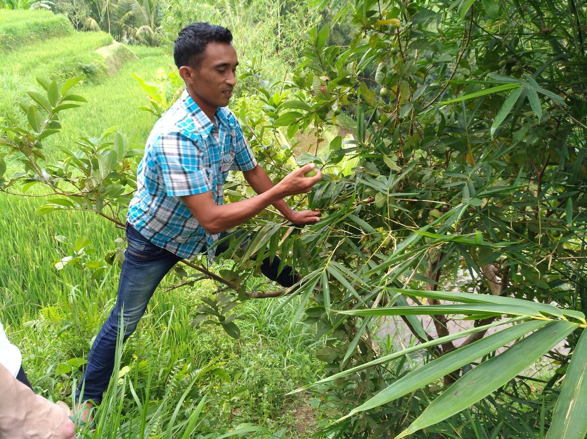 Satu Lingkung Tetebatu Exterior foto