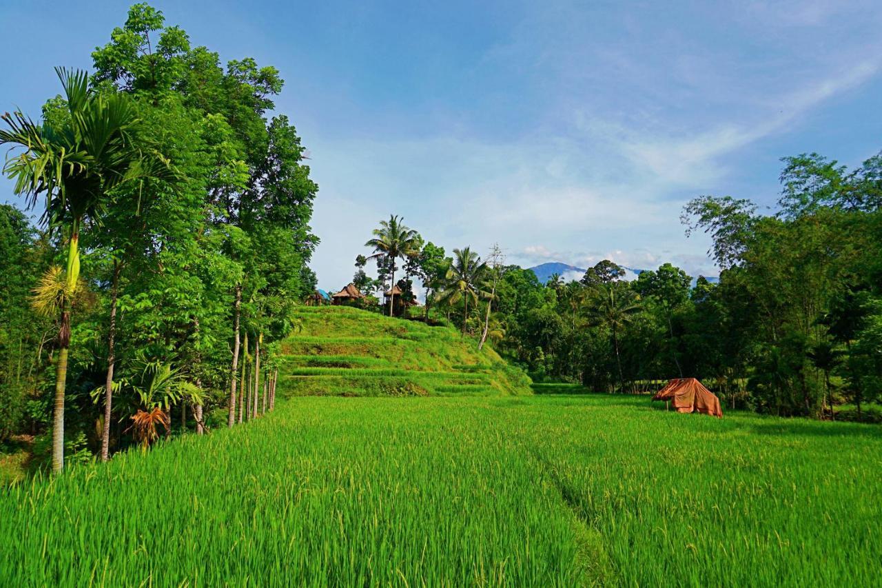 Satu Lingkung Hotel Tetebatu Exterior foto