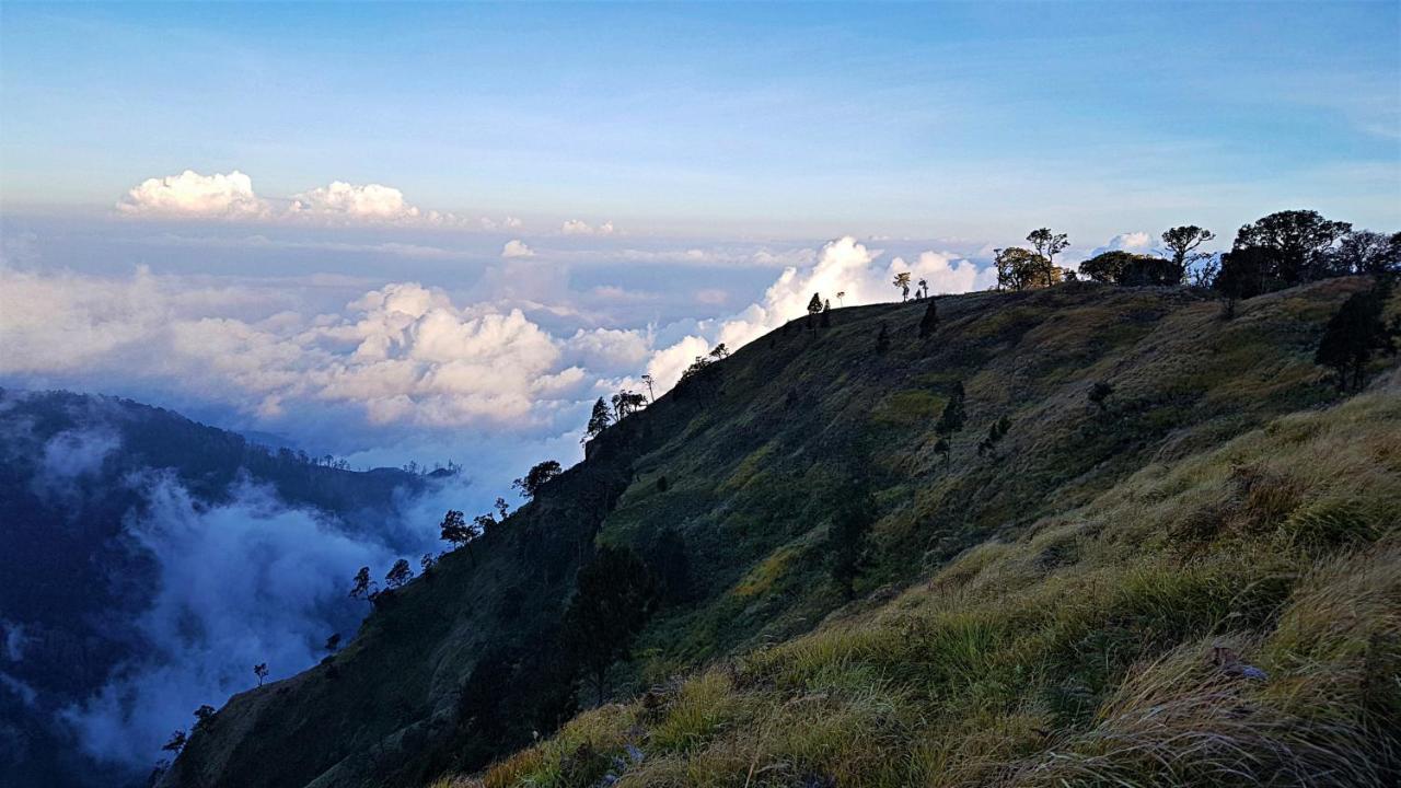 Satu Lingkung Hotel Tetebatu Exterior foto