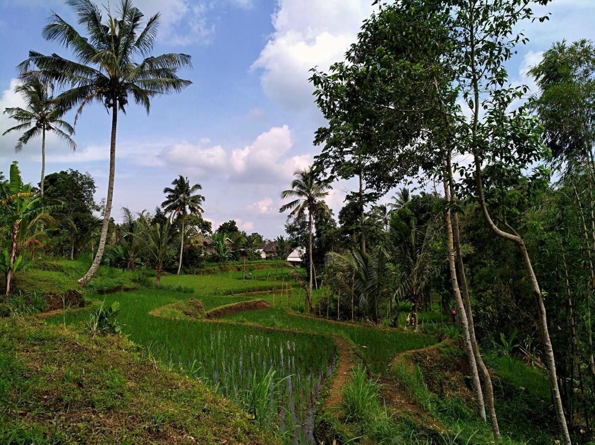 Satu Lingkung Tetebatu Exterior foto